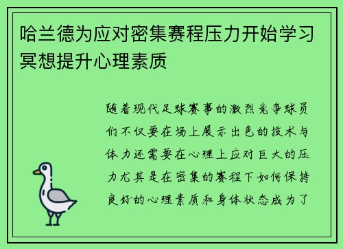 哈兰德为应对密集赛程压力开始学习冥想提升心理素质 哈兰德为应对密集赛程压力开始学习冥想提升心理素质